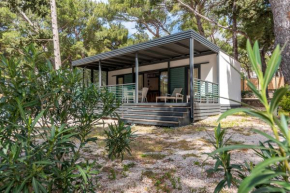 Riviera Mobile Home